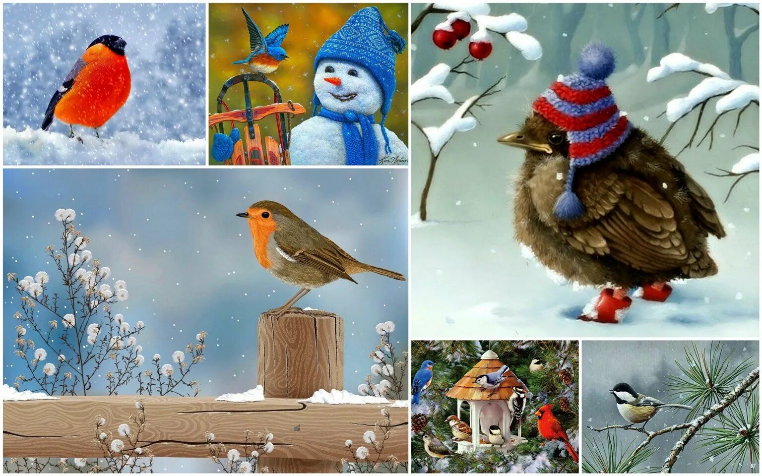 Птицы зимой песни. Фотоколлаж зимующих птиц. Зимние птицы для детей. Зимние птицы картинки для детей. Пазлы зимующие птицы.