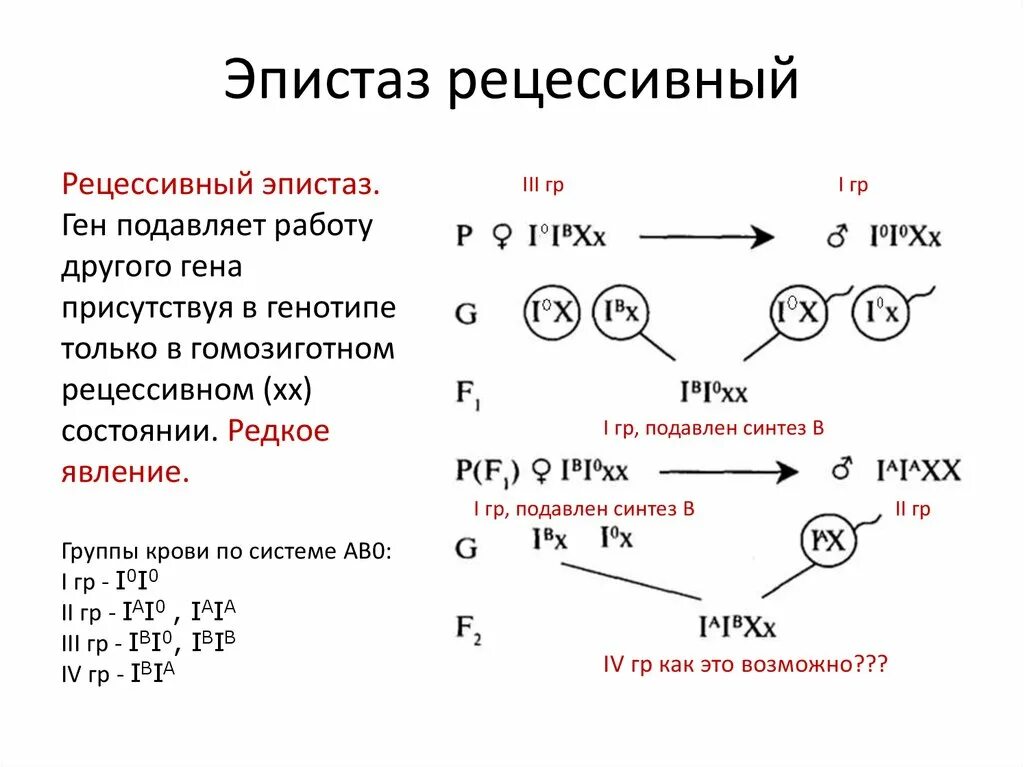 Бомбейский феномен рецессивный эпистаз генетическая запись. Генетическая задача на эпистаз. Взаимодействие неаллельных генов эпистаз рецессивный. Эпистаз задачи по генетике с решением.