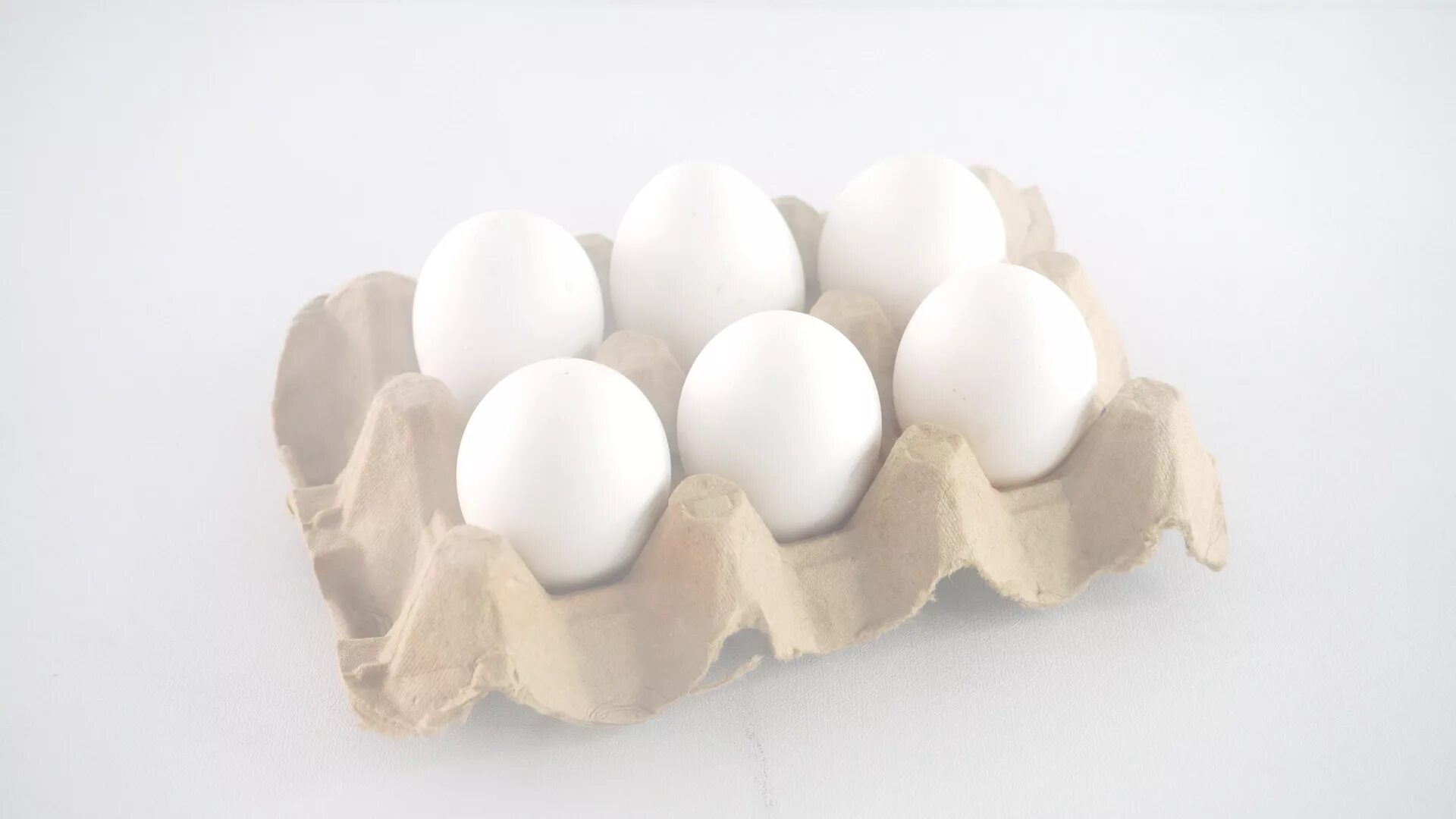 Упаковка для яиц. Одно яйцо. Резиновое куриное яйцо. Сухое куриное яйцо. Яйцо куриное на белом фоне.