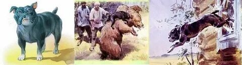 Рассказ льва николаевича толстого булька