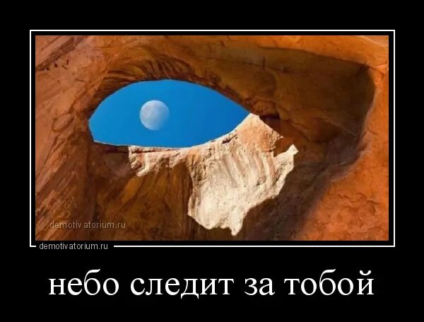 Слежка через пкк. Брат демотиватор. Она за нами следит. Картинки я слежу за тобой смешные. Кот следит за тобой.