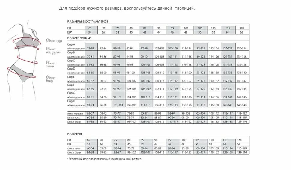 Русские размеры лифчиков. Felina бюстгальтер Размерная сетка. Размерная линейка бюстгальтеров. Felina Размерная сетка купальников. Купальники Фелина Размерная сетка.