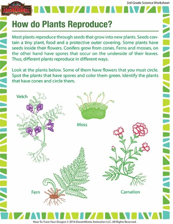 How many plants. Plants and Flowers Worksheets. Reproduction ( Science) Worksheets for Grade 3. Science Worksheets 5 Grade. Fields of Science Worksheet.