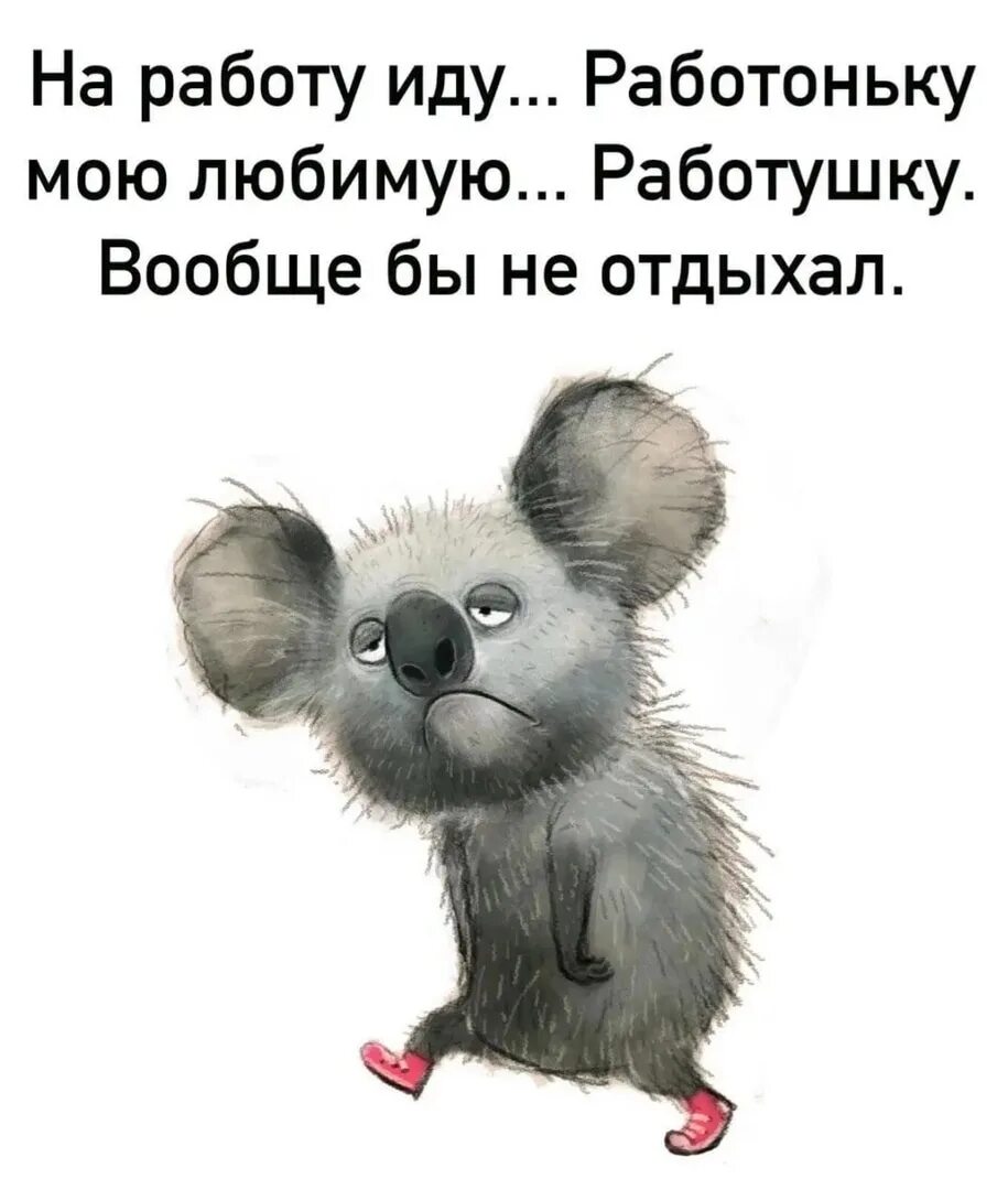 Хочу и буду график работы. У меня свободный график хочу иду на работу хочу ползу. доброе утро понедельника гиф. свободный график прикол.