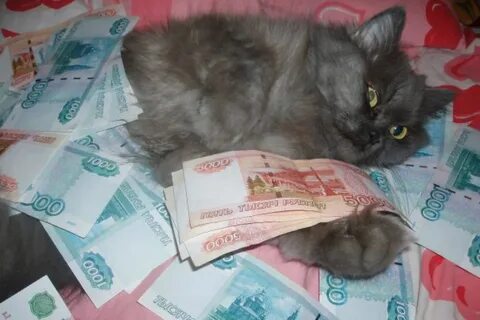 Кутят и тратят