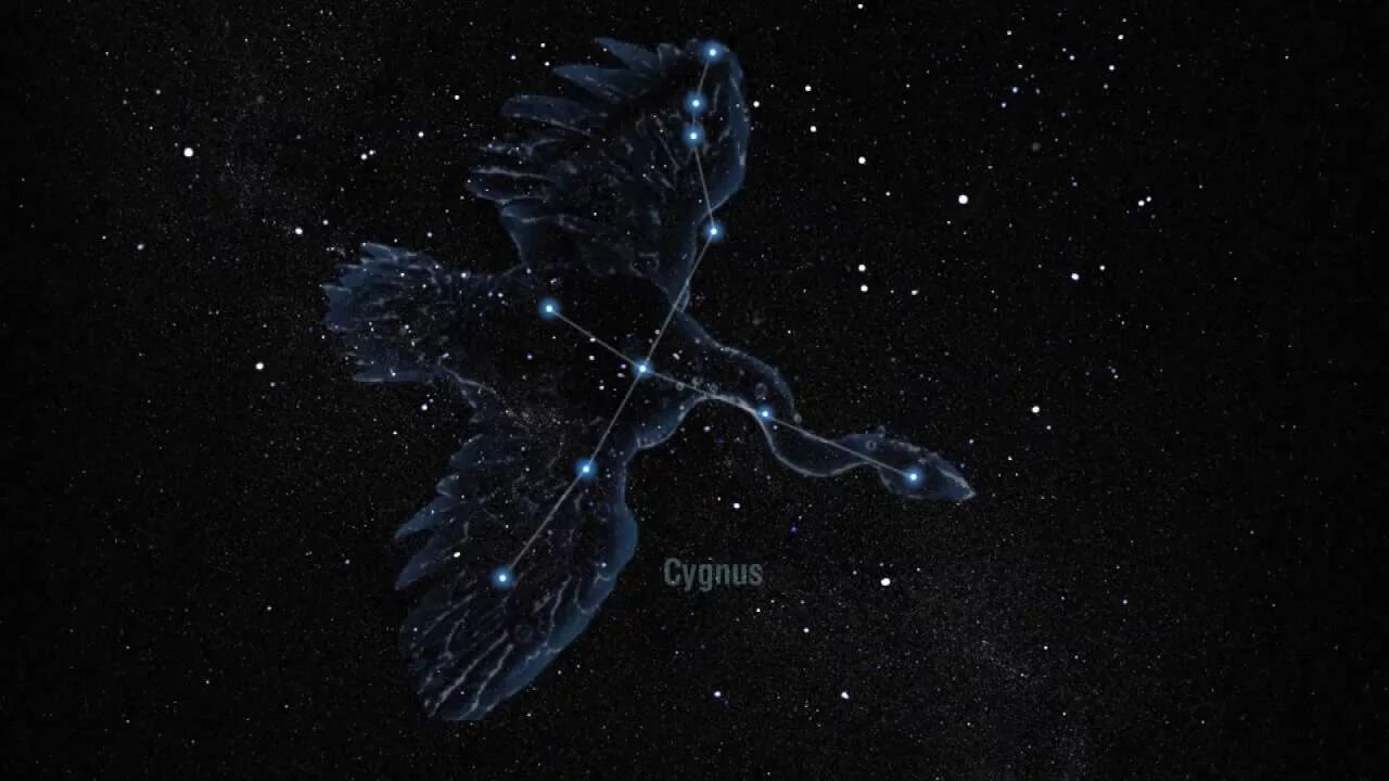 Учитель святых созвездий 43. Созвездие лебедь. Cygnus Созвездие. Созвездие лебедь звезды. Созвездие лебедь Денеб.