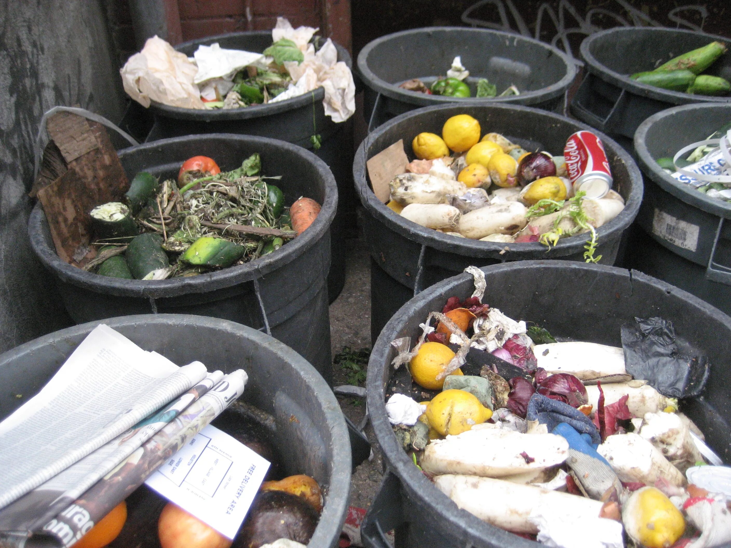 Пищевые отходы кухонь. Утилизация пищевых отходов. Мусор пищевые отходы. Продукты в мусорке. Еда из мусорки.