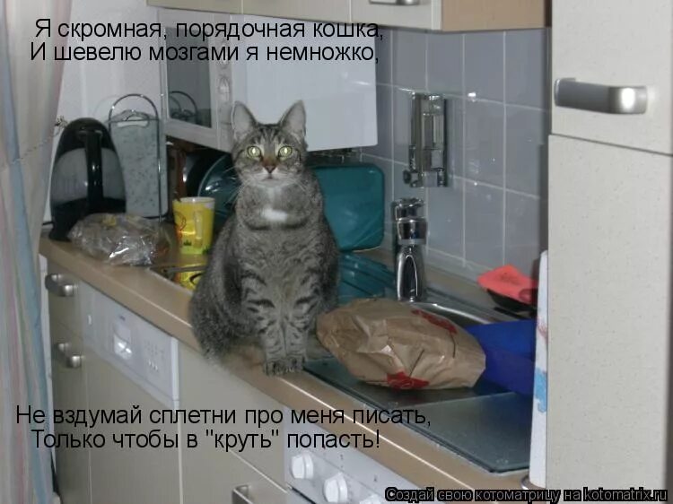 этика государственного служащего. по моему скромному мнению. ник офферман основатель. честно скромный. бывает человек и порядочный и скромный а вот не умеет этого показать.