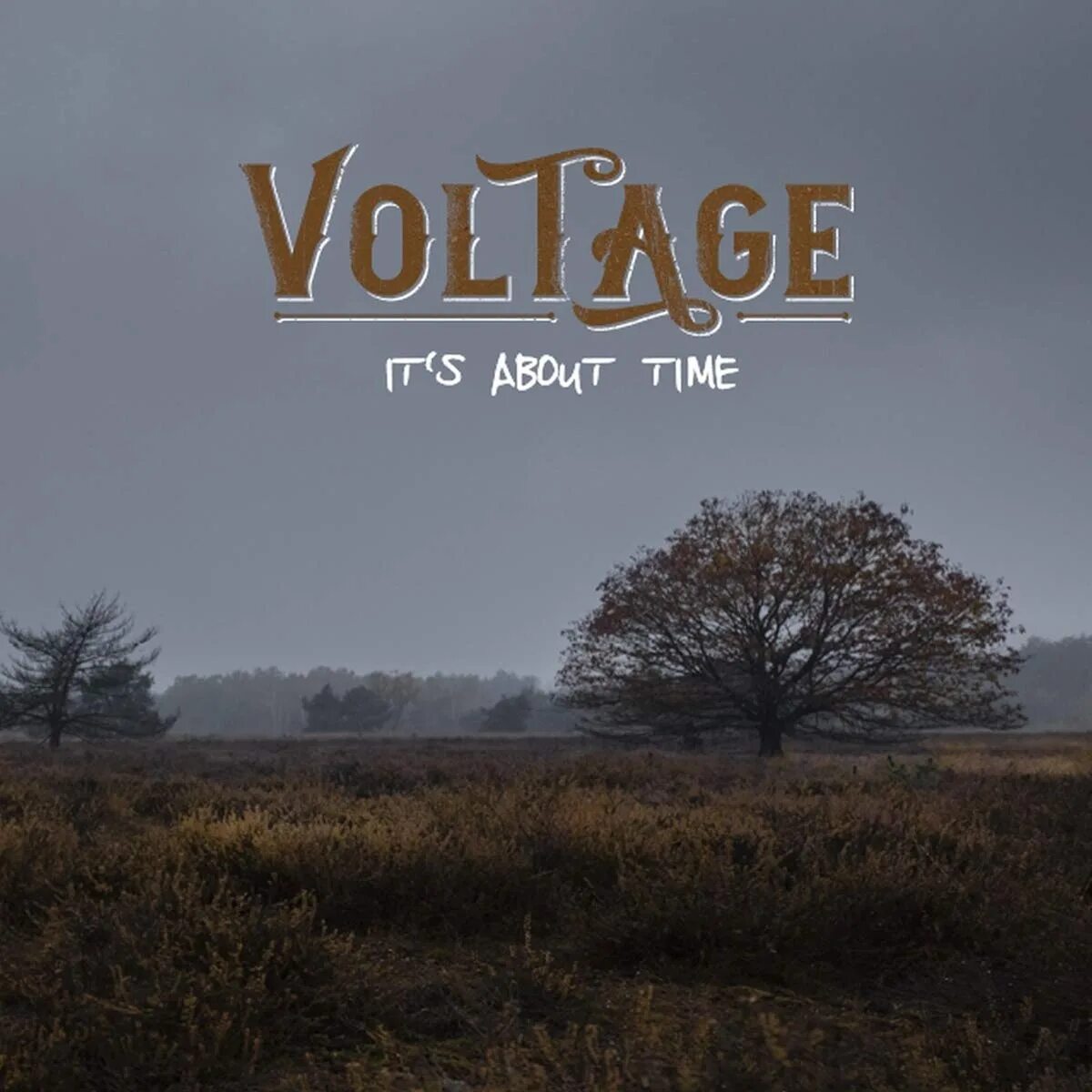 Gone like. Voltage it's about time 2020. It's about time. Voltage - it's about time 2020 - CD. Time 2020.