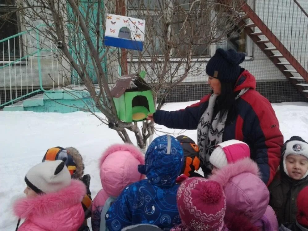 Прогулка с детьми в старшей. Наблюдение зимой за птицами в детском саду. Дети в детском саду наблюдают за птицами. Наблюдение в детском саду на прогулке зимой. Прогулка детей наблюдения за птицами.