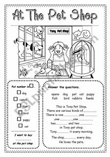 There was a pet shop there
