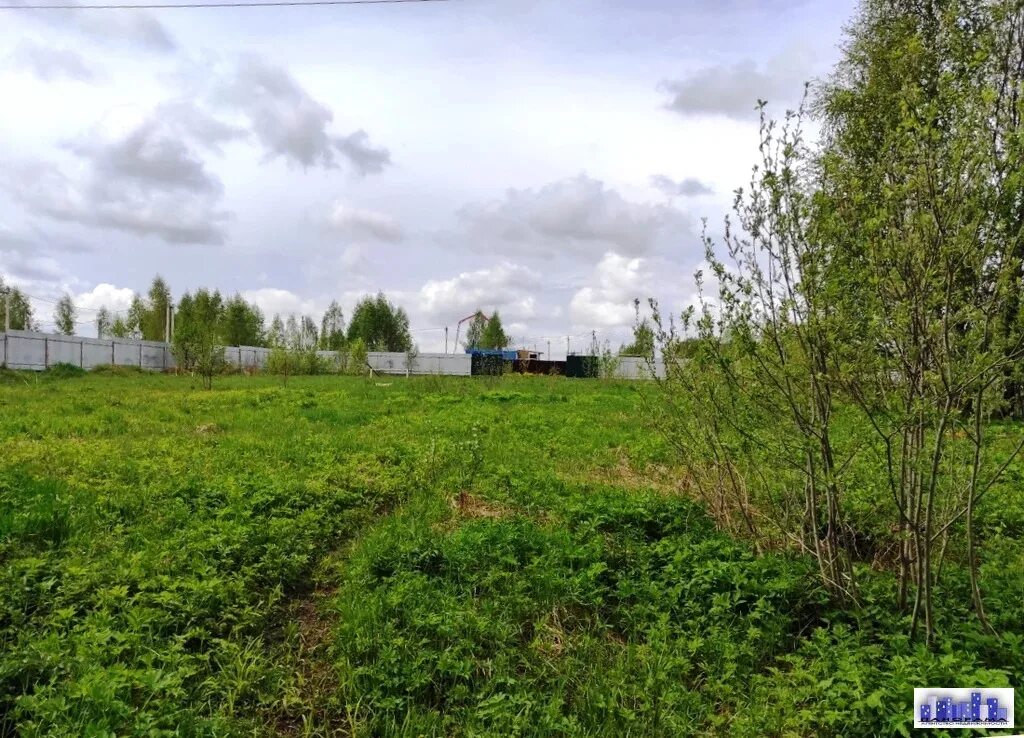 Участок 46 соток. Голиково московская область. Участок 17 34. Участок 17 34. Деревня голиково московская область.