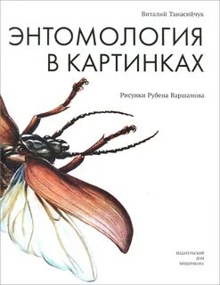 4 энтомолог