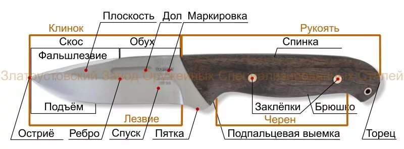 Холодное оружие длина клинка. Элементы ножа криминалистика. Основные части ножа криминалистика. Конструктивные элементы ножа криминалистика. Конструкция ножа криминалистика.