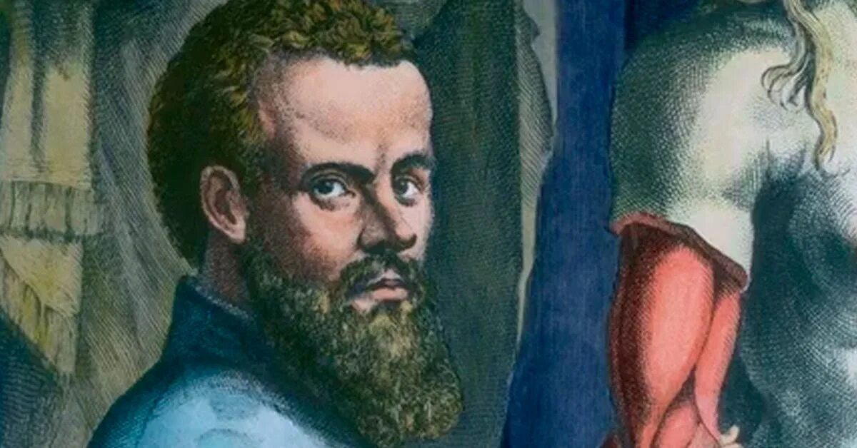 Везалий достижения. Везалий (1514-1564). андреас везалий медицина.