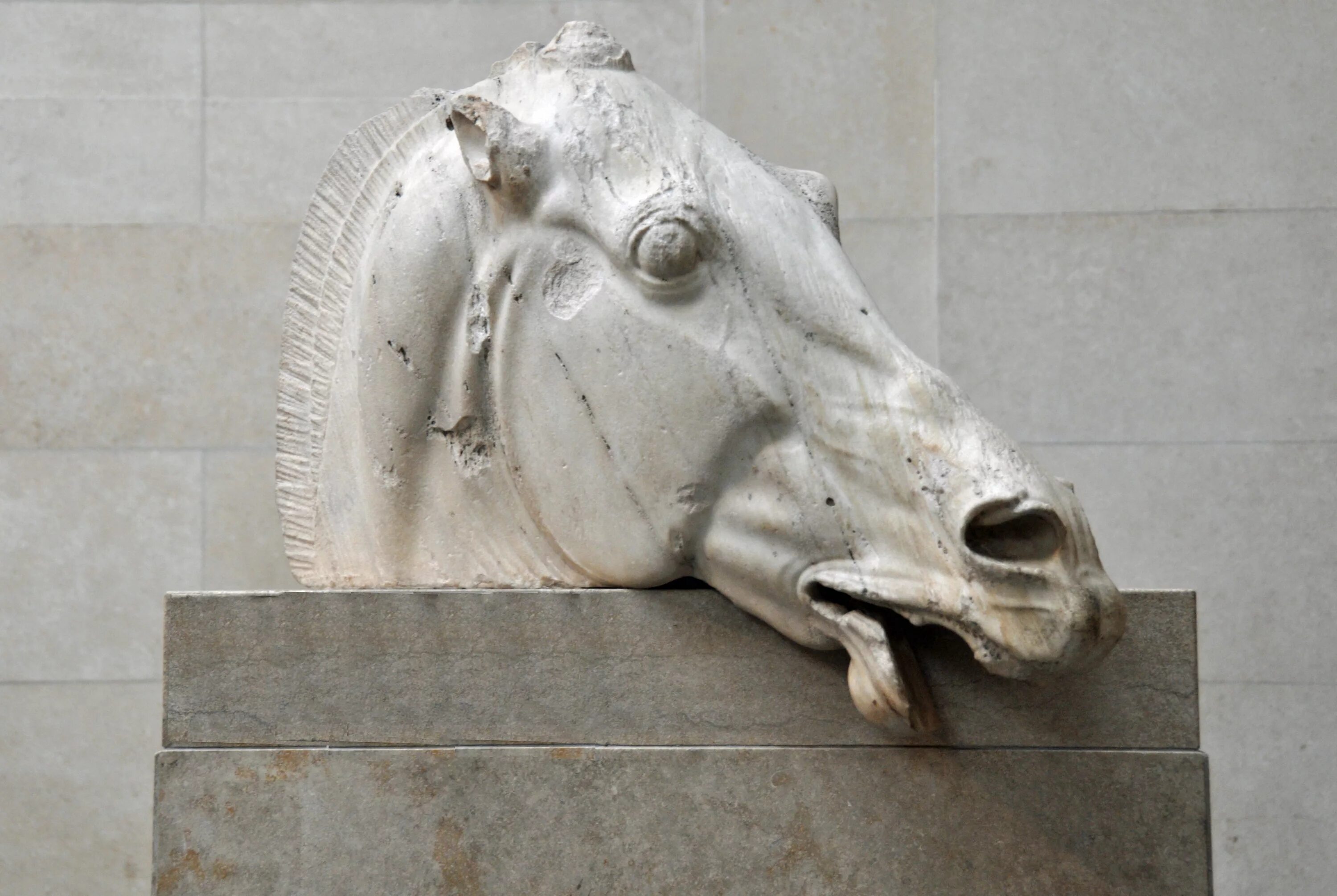 Греческий конь. Парфенон барельеф кони. Голова лошади скульптура. Головы лошадей памятник. Голова лошади скульптура архитектурная.