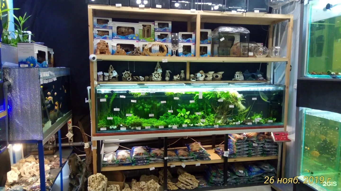 немцова 52. рыбный дом. рыбный магазин глазов сибирская 6. икорный дом магазины в москве. магазин рыбка дома.