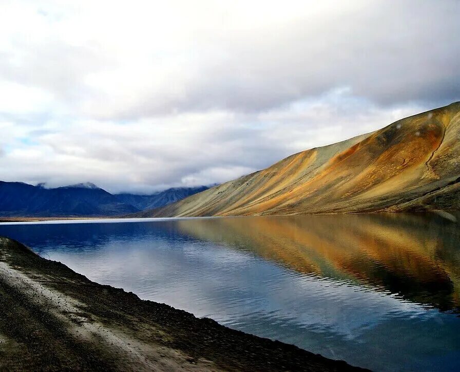 Чукотка тундра. Река анадырь океан. Чукотский автономный округ природа. Река анадырь чукотка. Река анадырь океан.