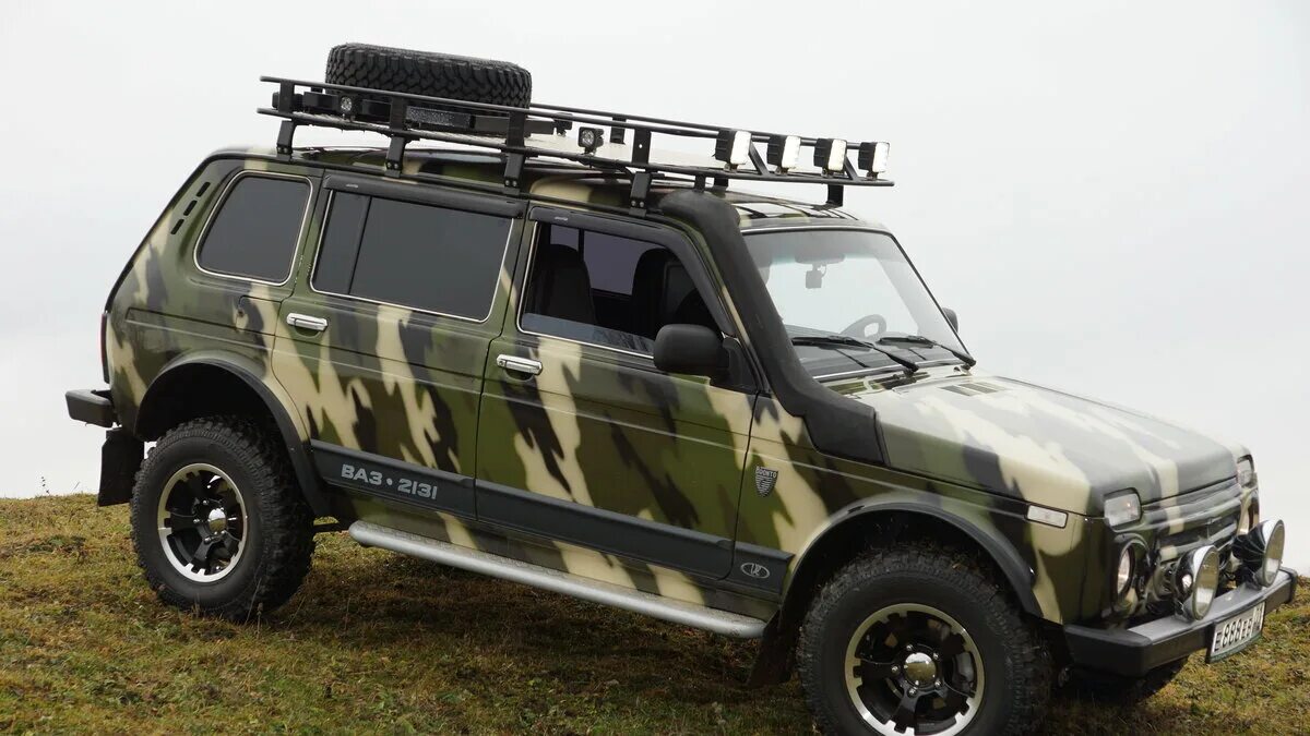 рысь 2 3. кавказская рысь краснодарского края. нива 2131 бронто рысь. рысь 2 3. нива бронто рысь 2 на 31 колесах.