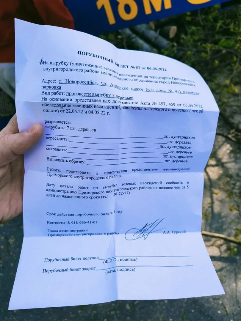 Разрешения на вырубку деревьев на участке. Разрешение на вырубку деревьев.