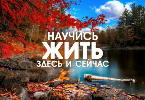 Жизнью в настоящем и прожитой