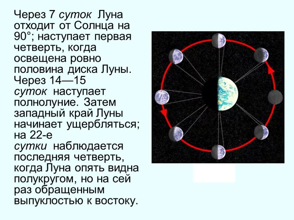 Сколько сутки на луне. Положение Луны на небе в течении суток. Смена лунных фаз. Виды лунного диска. Первая половина диска Луны.