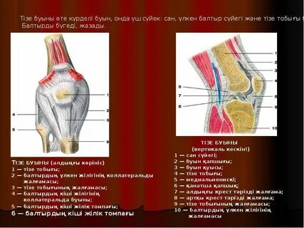 Секс әпкесі мен ағасы Америка