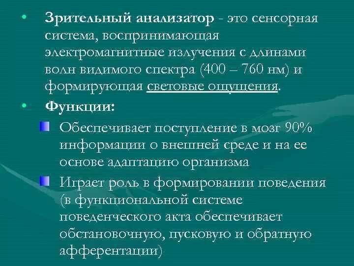 Функции зрительного анализатора таблица. Функции зрительного анализатора. Функции зрительного анализатора физиология. Зрительная анализаторная система. Зрительный анализатор физиология.