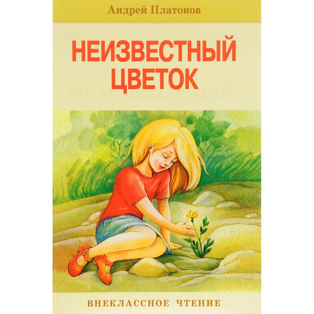 Герои произведения неизвестный цветок. Произведение Андрея Платоновича Платонова неизвестный цветок. Платонов а. "неизвестный цветок".