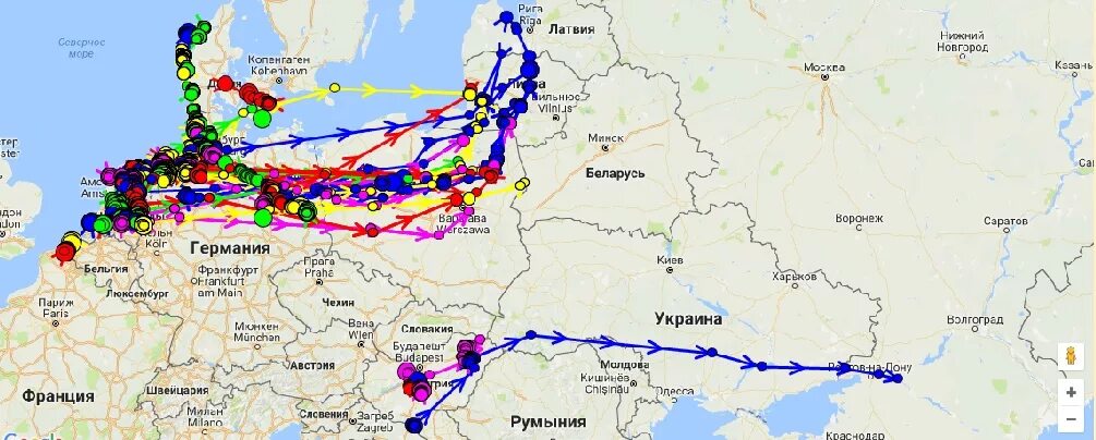 Куда летят гуси весной в россии. Карта миграции гусей в России. Пути миграции гусей на карте России. Карта миграции гусей 2022 в России. Карта миграции гусей 2023 в России.