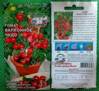 Томат балконное чудо отзывы урожайность характеристика