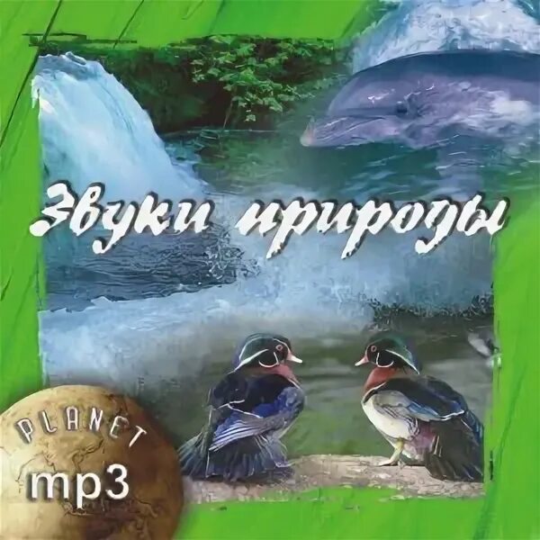 Диск звуки природы для детей. Звуки природы СД диск. CD диск звуки природы. Диск со звуками природы для малышей. Включи звуки природы на станции