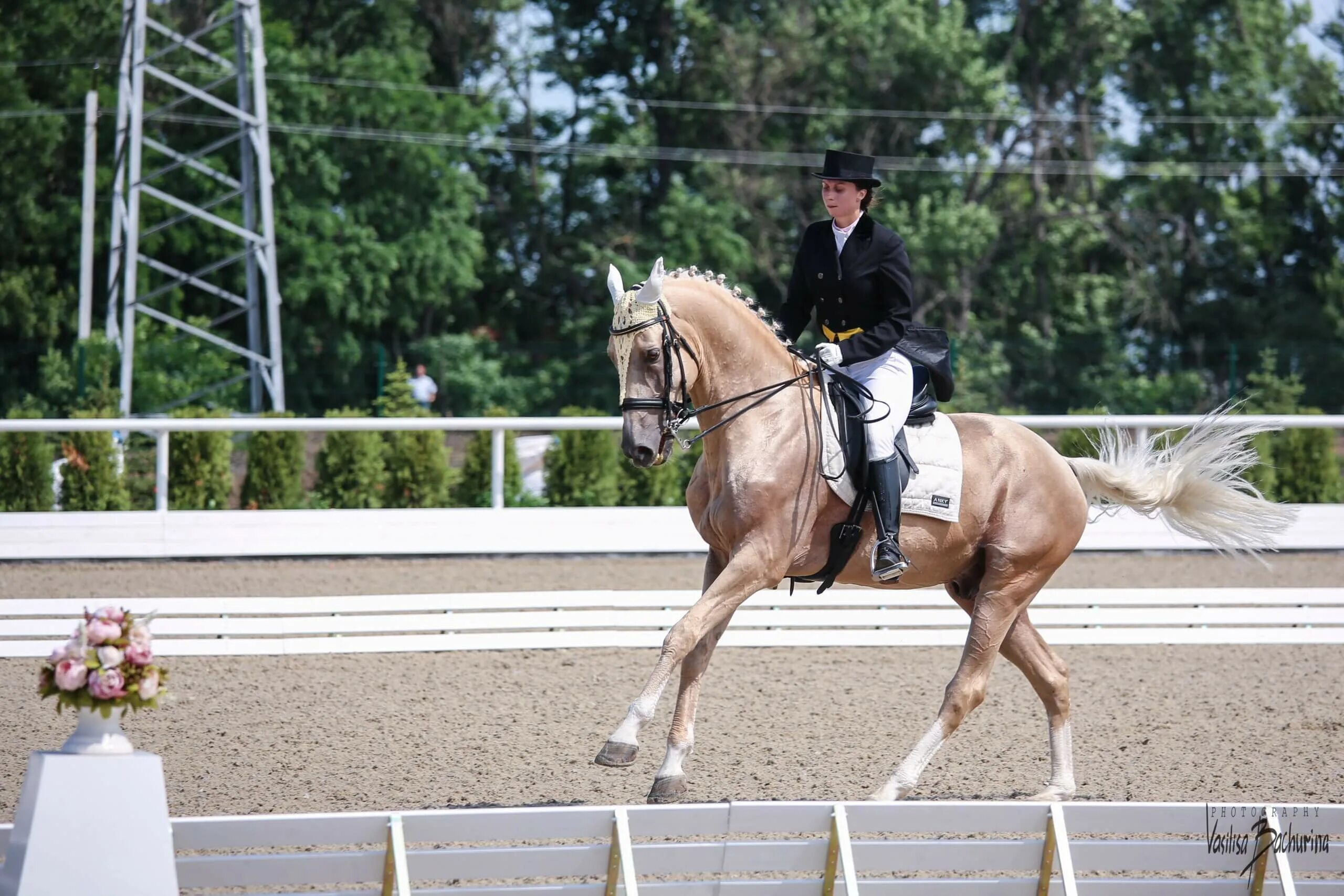 КСК Голден Хорс. КСК Golden Horse, Таганрог. КСК Золотая лошадь Самара. Golden Horse Руза. Голден хорс отзывы