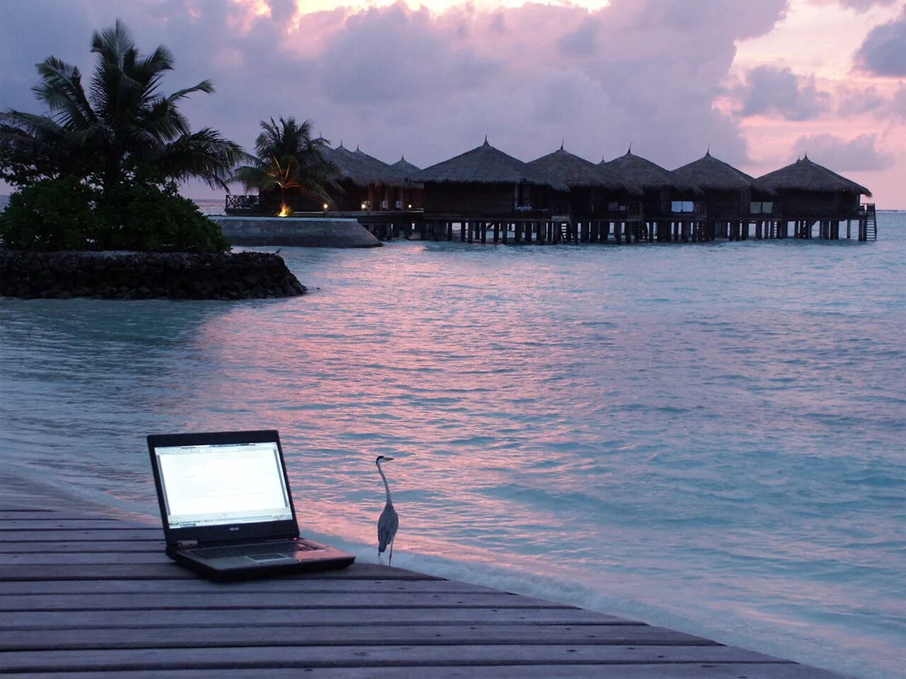 С ноутбуком на пляже. С ноутбуком на море. Бали ноутбук. Море пляж ноутбук. Ноутбук travel