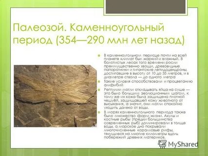 Период палеозоя 5 букв