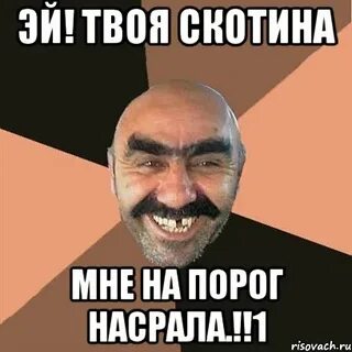 Какая скотина