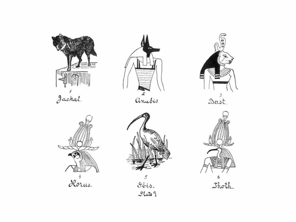 Животные богов египта. Имена богов Египта иероглифы. Иероглифы богов древнего Египта. Идеограмма древний Египет боги. Египетские боги и их символы.