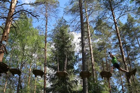 Greenvald парк скандинавия