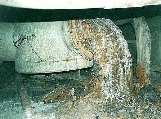 Как выглядит слоновая нога в чернобыле Файл:Chernobyl Elephant  Википедия