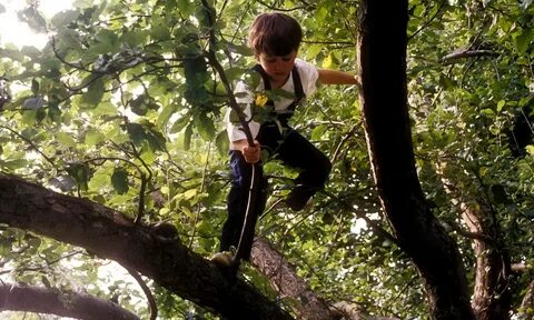 There children under the trees