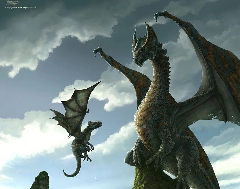 драконы в реальной жизни. драконы в реальной жизни. драконы в реальной жизни. дракон настоящий. как выглядит реальный дракон.