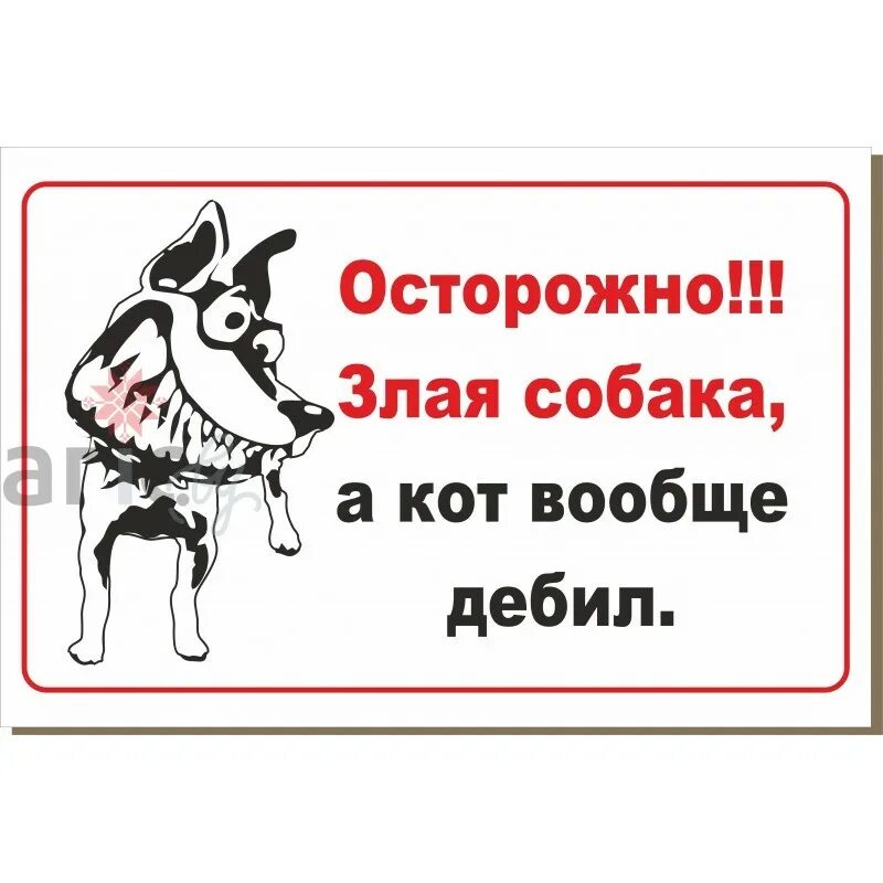 собака злая а кот вообще. собака злая а кот вообще. а кот вообще дебил. собака злая а кот вообще. осторожно злая собака а кот.