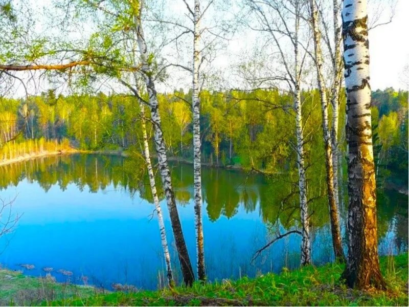 Гляжу в озера синие. Синее озеро фото. Гляжу в озера синие детская. Гляжу в озера синие. Песня гляжу в озера синие.