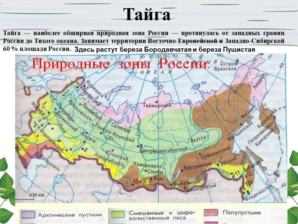 Подготовка к впр природные зоны. Природные зоны России. Карта природных зон РФ. Природные зоны России контурная карта. Природные зоны России 4 класс.