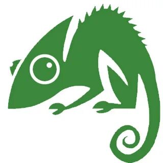 Хамелеон символ