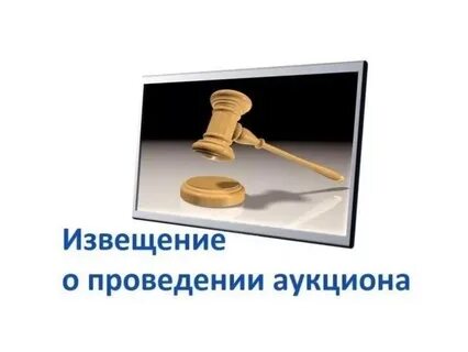 Провести аукцион по продаже земельных участков