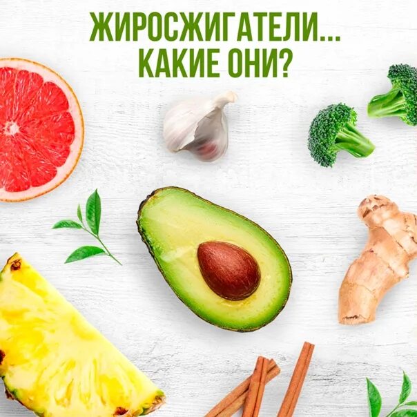 Жиросжигающее питание