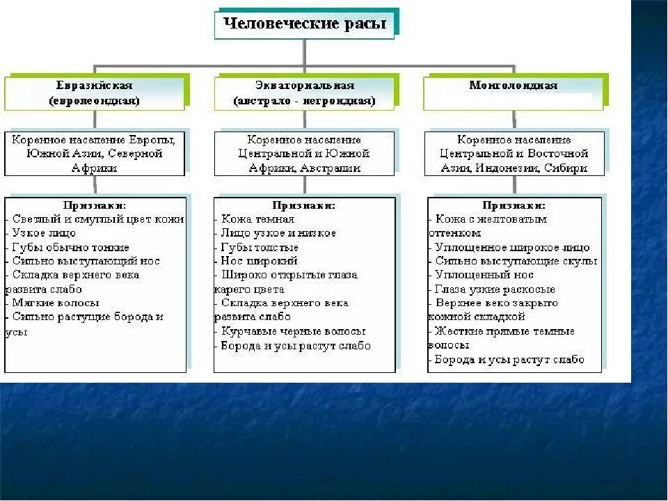 Расы человека кратко