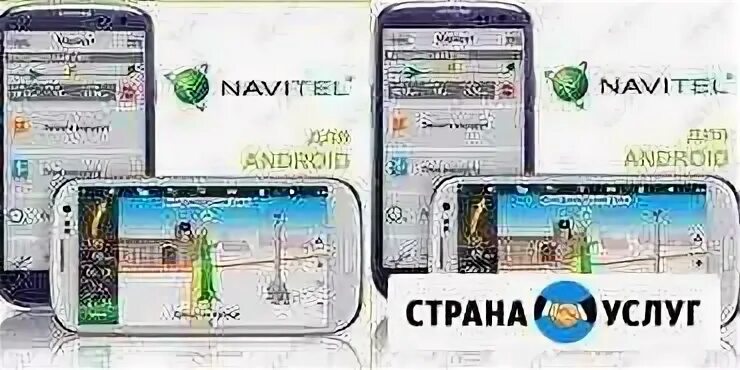 Аис смоленская
