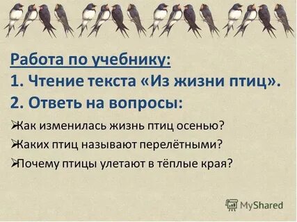 Жизнь птиц 2